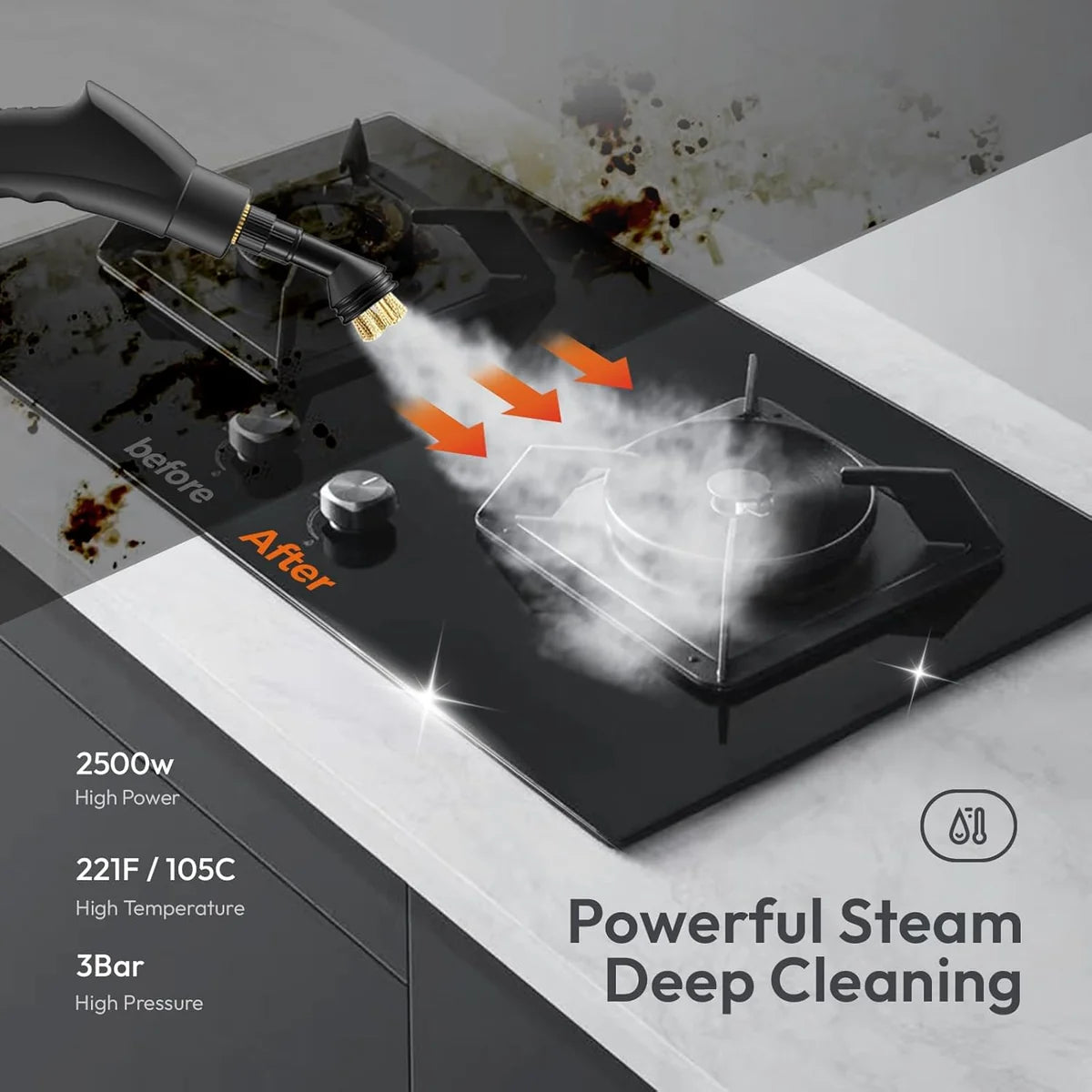 Portable Steam Cleaner Kit